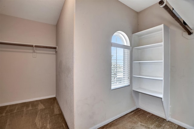 13406 Dahlia Green Way, Houston, TX 77038 - photo 25