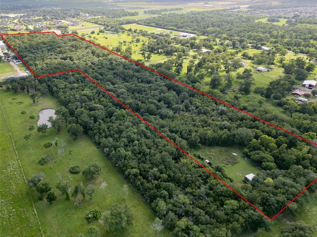 8915 Fm 2759th Rd, Richmond, TX 77469 - photo 6