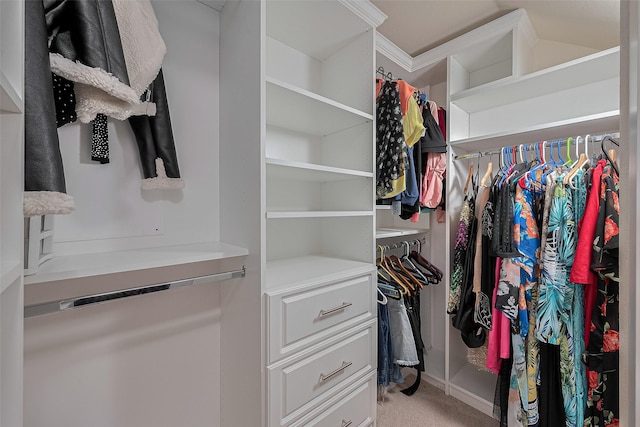 10434 Lake Of The Ozarks Dr, Humble, TX 77396 - walk in closet with light colored carpet