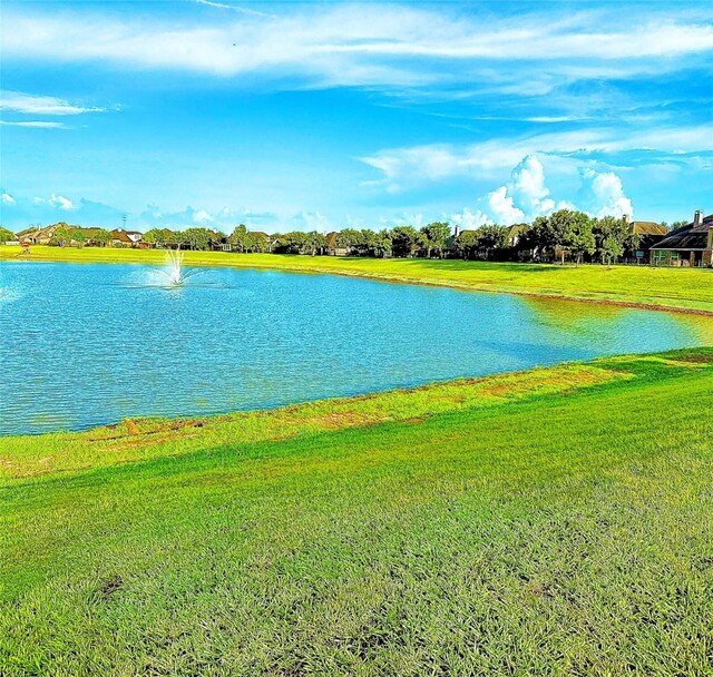 234 Golden Grain Dr, Rosenberg, TX 77469 - photo 43