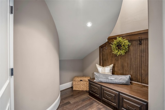 27 S Glenwild Cir, The Woodlands, TX 77389 - mudroom featuring lofted ceiling and dark wood-style floors