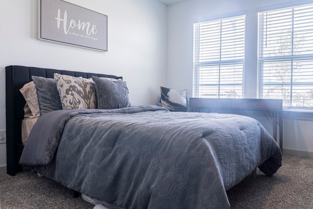 8227 Precious Passing Way, Rosharon, TX 77583 - view of carpeted bedroom