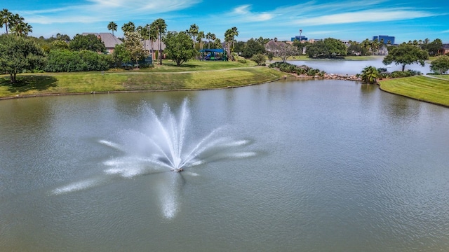 14323 Kingston Cove Ln, Houston, TX 77077 - photo 33