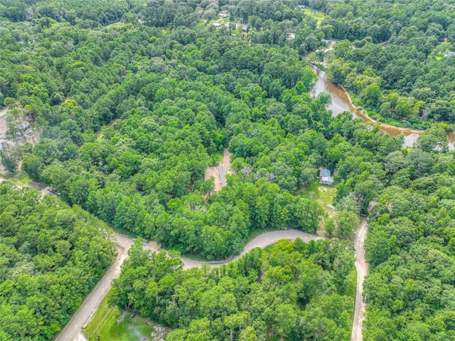 TBD Bentwood Bend, Livingston, TX 77351 - photo 4