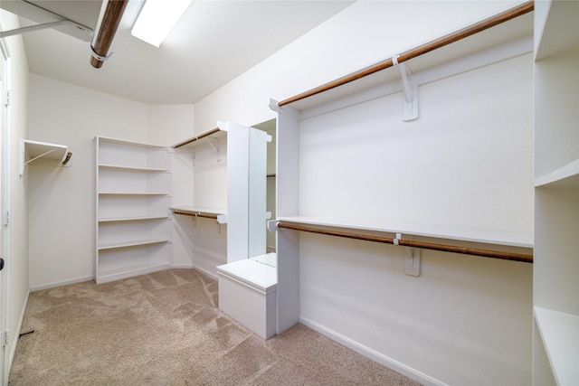19503 S Coral Honeysuckle Loop, Cypress, TX 77433 - spacious closet with light carpet