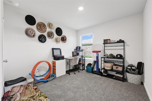 225 Big Spring Dr, Anahuac, TX 77514 - office featuring carpet flooring