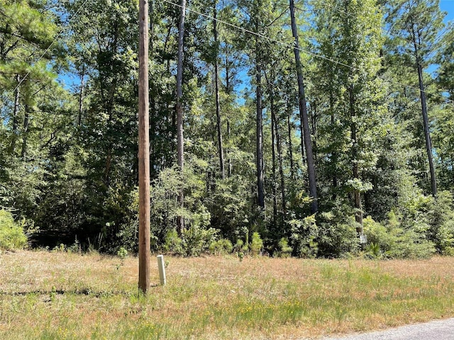 TBD Remington Rd, Huntsville, TX 77340