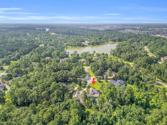 28610 Pinnacle Point Pl, Spring, TX 77386 - photo 46