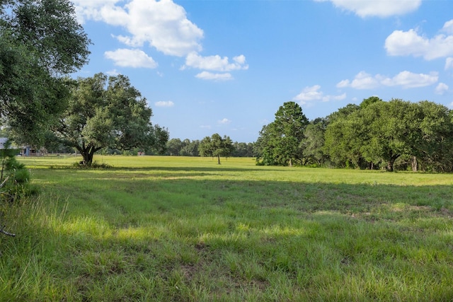 1027 Old New Ulm Rd, New Ulm, TX 78950 - photo 2