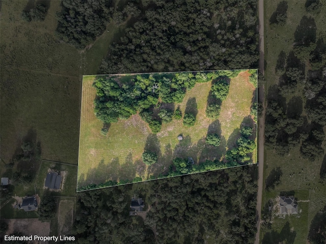 1027 Old New Ulm Rd, New Ulm, TX 78950 - photo 3