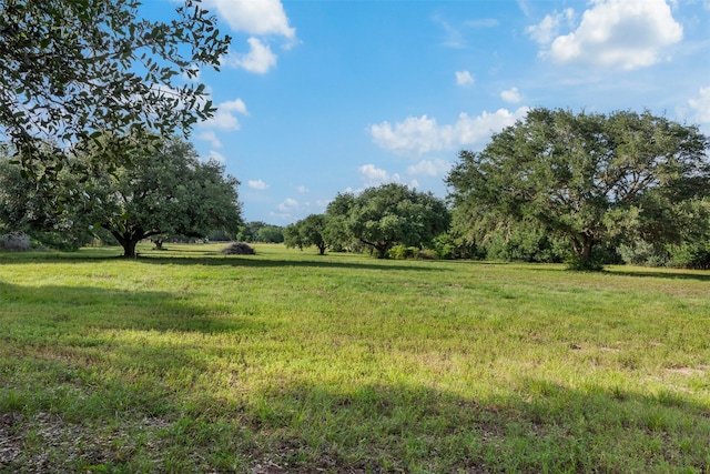 1027 Old New Ulm Rd, New Ulm, TX 78950 - photo 5