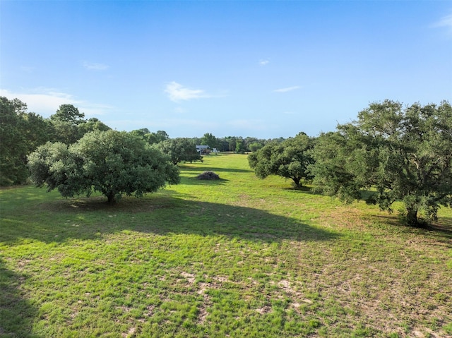 1027 Old New Ulm Rd, New Ulm, TX 78950 - photo 7