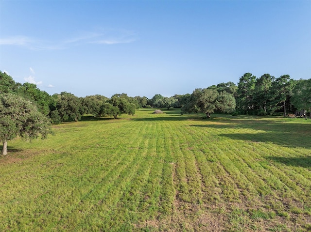 1027 Old New Ulm Rd, New Ulm, TX 78950 - photo 9