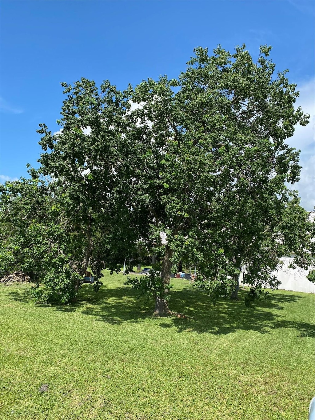 520 12th St, Dickinson, TX 77539