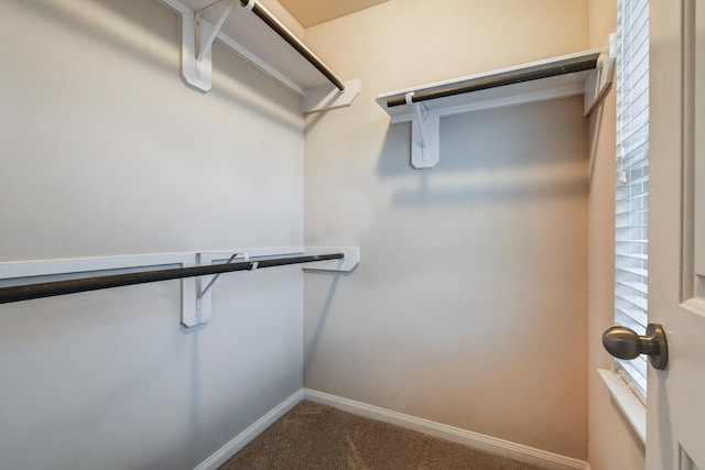 24810 Alberti Sonata Dr, Katy, TX 77493 - photo 28
