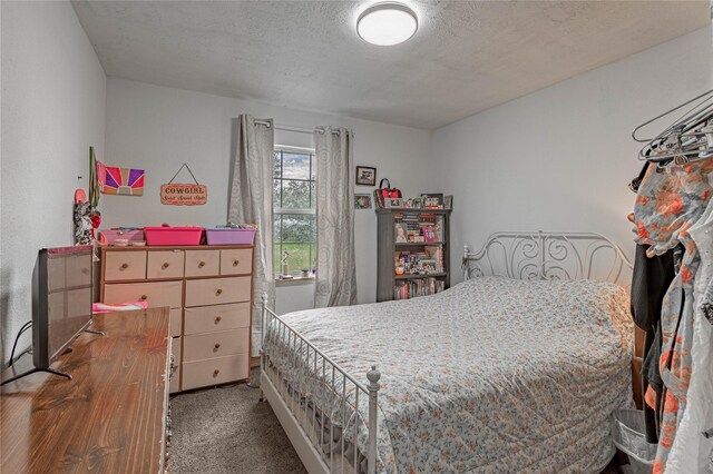 7618 County Road 132, Bedias, TX 77831 - photo 23