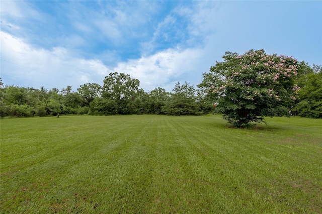 7618 County Road 132, Bedias, TX 77831 - photo 31