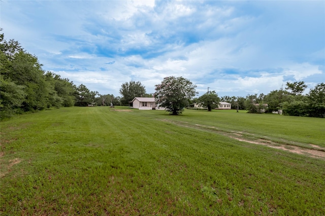 7618 County Road 132, Bedias, TX 77831 - photo 34