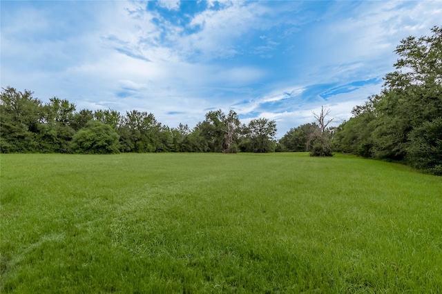 7618 County Road 132, Bedias, TX 77831 - photo 38