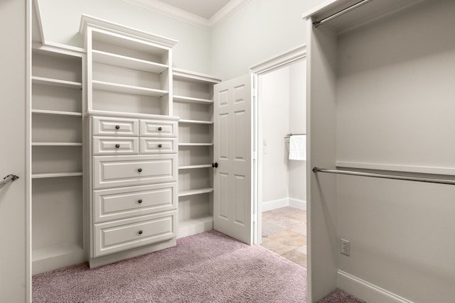 1013 Mulberry Ln, Bellaire, TX 77401 - walk in closet with light carpet