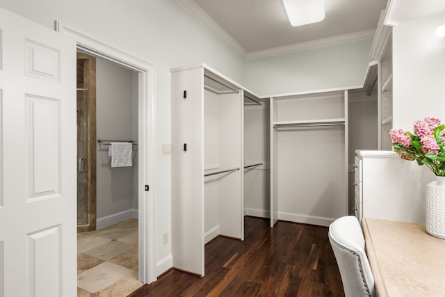 1013 Mulberry Ln, Bellaire, TX 77401 - walk in closet with dark wood finished floors