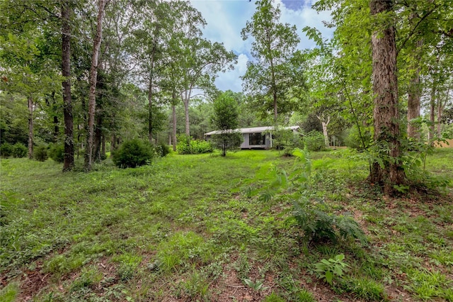 211 Baker Dr, Livingston, TX 77351 - photo 44