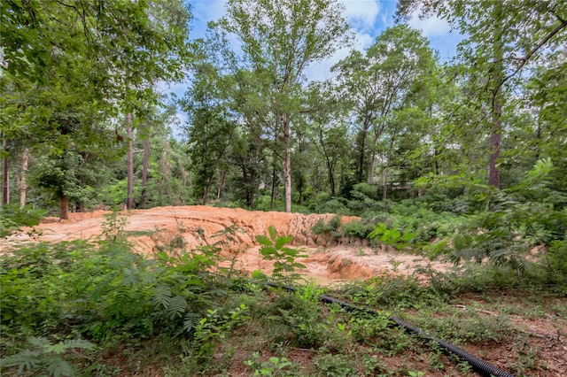 211 Baker Dr, Livingston, TX 77351 - photo 45