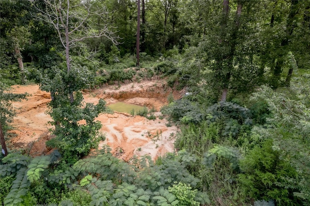 211 Baker Dr, Livingston, TX 77351 - photo 46