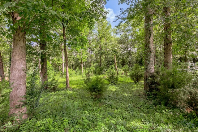 211 Baker Dr, Livingston, TX 77351 - photo 48