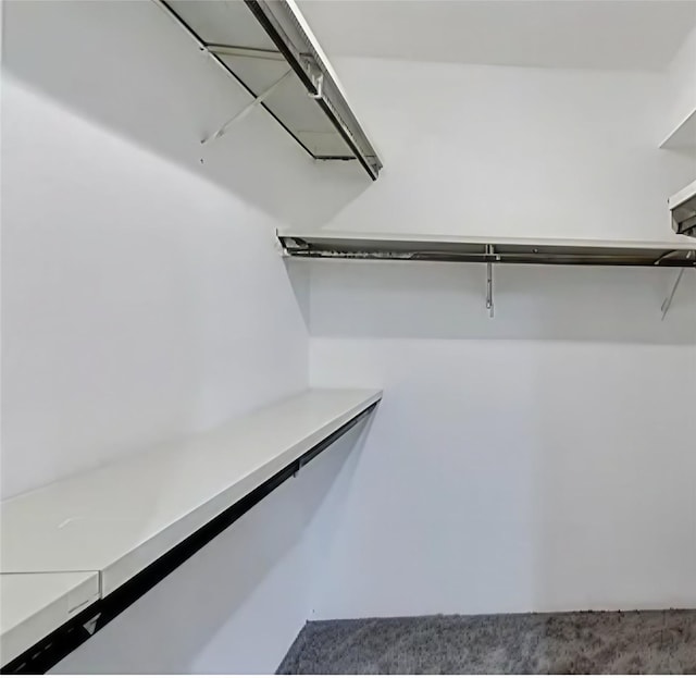 17210 Imperial Valley Dr Unit 13, Houston, TX 77060 - photo 17