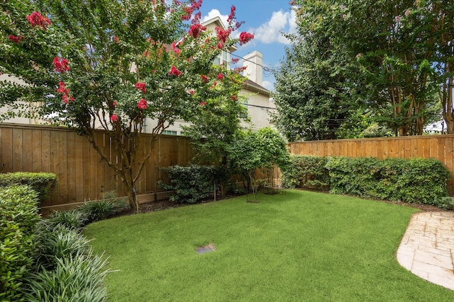 2213 Sheridan St, Houston, TX 77030 - photo 21