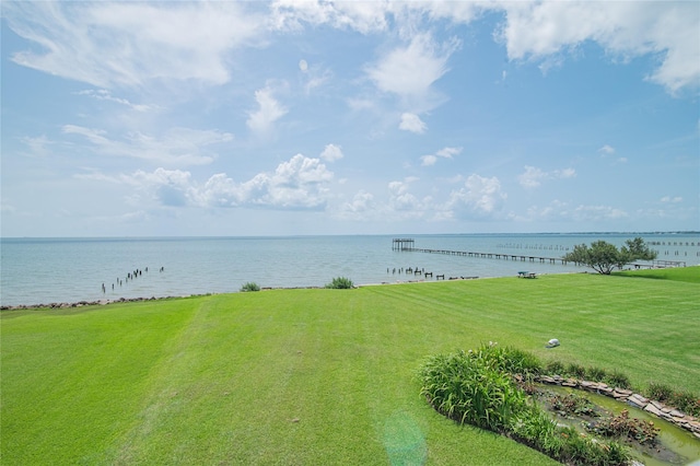 3014 Todville Rd, Seabrook, TX 77586 - photo 50