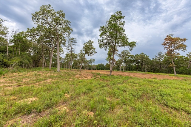 1126 Abel Rd, New Ulm, TX 78950 - photo 6