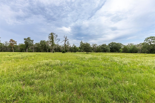 1126 Abel Rd, New Ulm, TX 78950 - photo 35