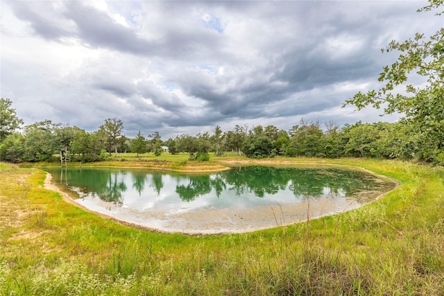 1126 Abel Rd, New Ulm, TX 78950 - photo 3