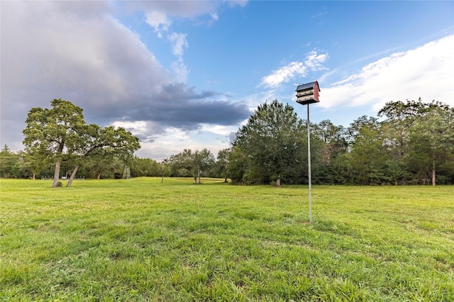 1126 Abel Rd, New Ulm, TX 78950 - photo 25