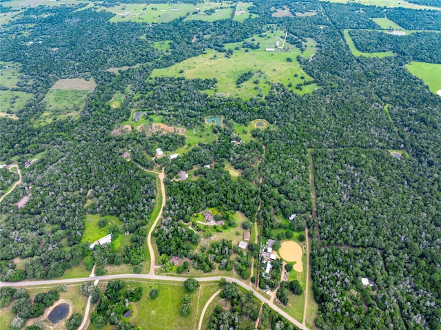 1126 Abel Rd, New Ulm, TX 78950 - photo 42