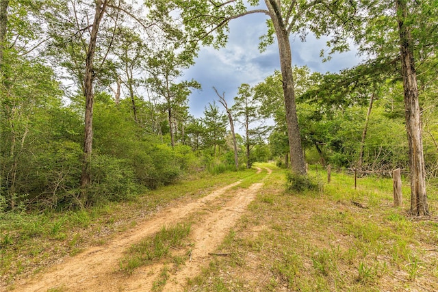 1126 Abel Rd, New Ulm, TX 78950 - photo 7