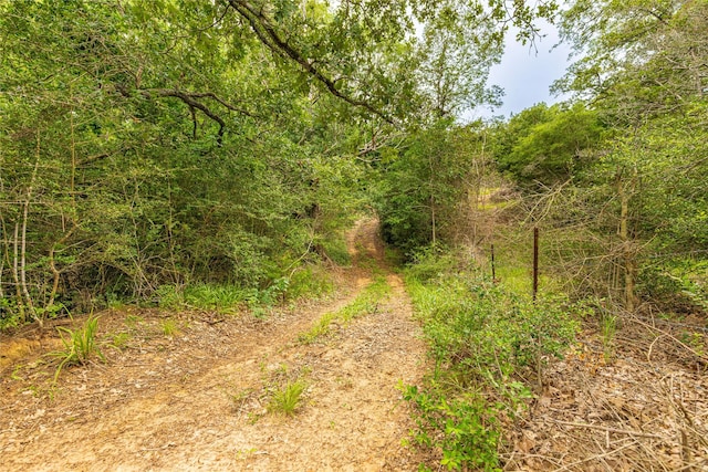 1126 Abel Rd, New Ulm, TX 78950 - photo 26
