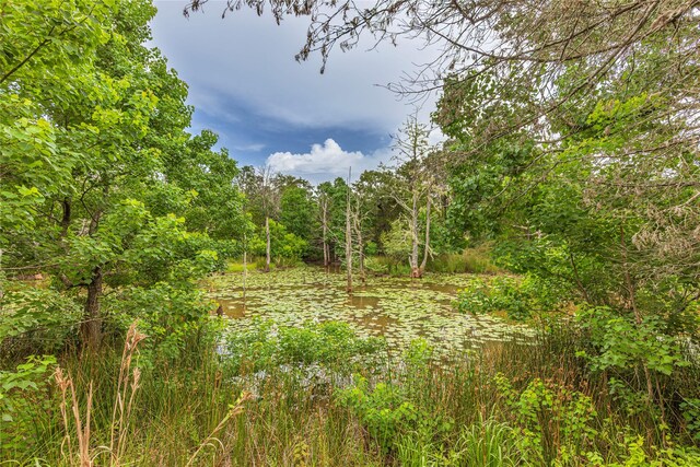 1126 Abel Rd, New Ulm, TX 78950 - photo 28