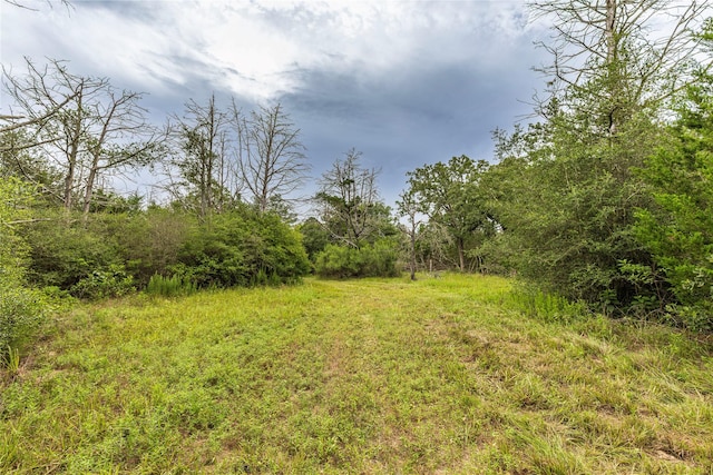 1126 Abel Rd, New Ulm, TX 78950 - photo 31