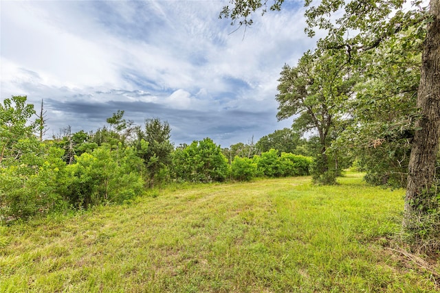 1126 Abel Rd, New Ulm, TX 78950 - photo 32