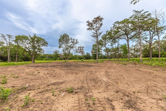 1126 Abel Rd, New Ulm, TX 78950 - photo 33
