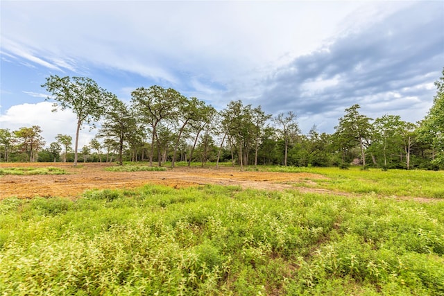 1126 Abel Rd, New Ulm, TX 78950 - photo 34