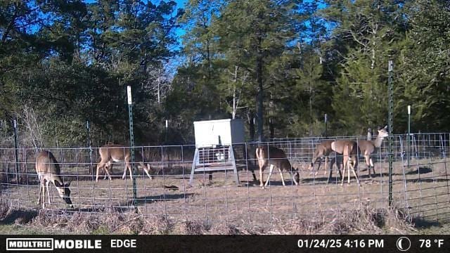 1126 Abel Rd, New Ulm, TX 78950 - photo 40