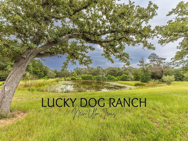 1126 Abel Rd, New Ulm, TX 78950 - photo 1