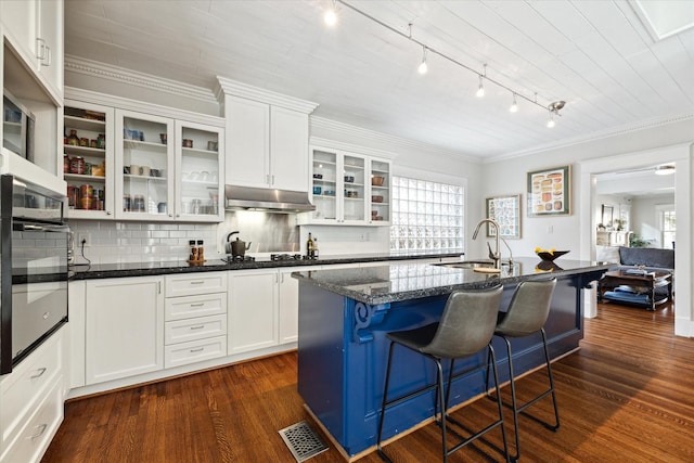 3404 Audubon Pl, Houston, TX 77006 - kitchen featuring stainless steel oven, under cabinet range hood, rail lighting, plenty of natural light, and crown molding