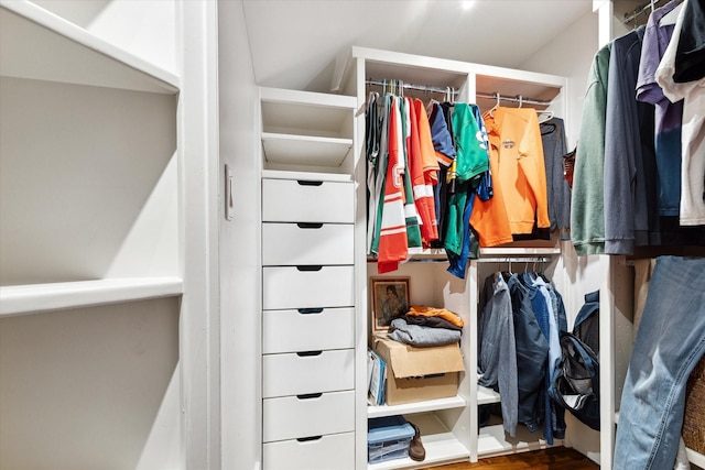 3404 Audubon Pl, Houston, TX 77006 - spacious closet with wood finished floors