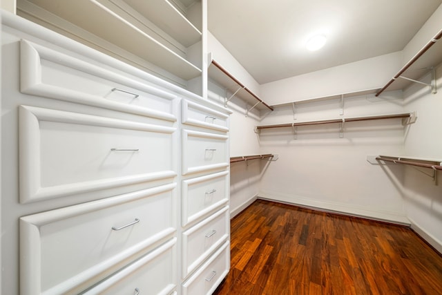 2217 Dunraven Ln, Houston, TX 77019 - spacious closet with dark wood finished floors