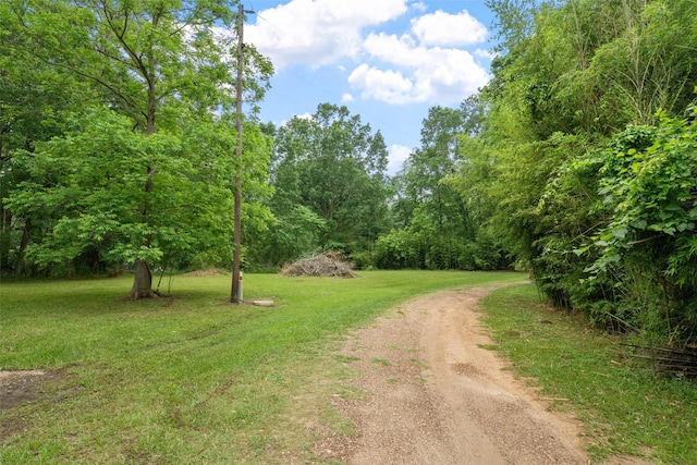 101 Walnut Dr, Coldspring, TX 77331 - photo 4